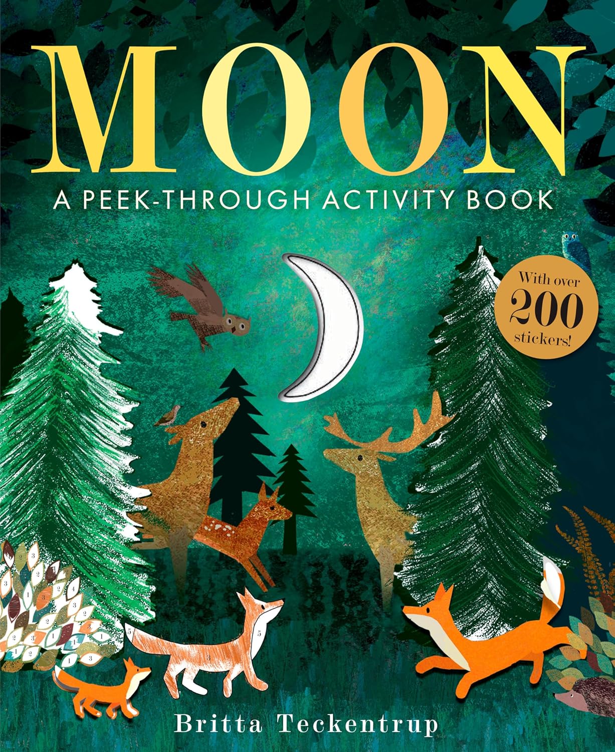 Moon: A Peek-Through Activity Book with Over 200 Stickers